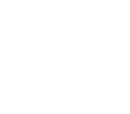 NEW VISION DANCE COMPANY